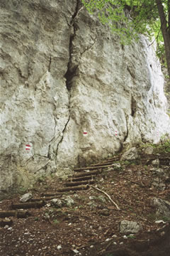 Wanderung 128 Vorderkaiserfeldenhütte: Steig am Fels am Westhang
