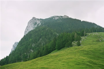 Wanderung 128 Vorderkaiserfeldenhütte: Lahnkopf westlich der Ritzaualm