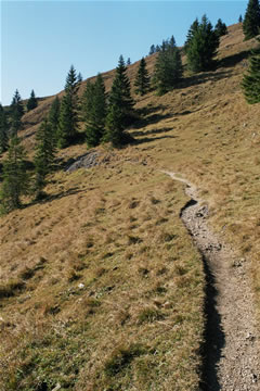 Wanderung 121 Seebergkopf: Wiesenweg