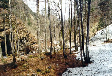 Wanderung 115 Staubfall (Heutal): Altschneefelder an der Brücke über den Fischbach