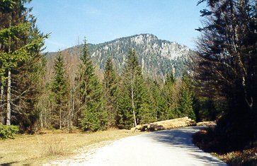 Wanderung 115 Staubfall (Heutal): Rückblick zum Unternberg