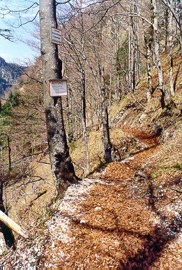 Wanderung 115 Staubfall (Heutal): Schöner Waldsteig