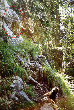 Wanderung 117 Müllnerhorn: Eine von mehreren Seilsicherung mit steilem Abhand an der Westwand Rabensteinhorn
