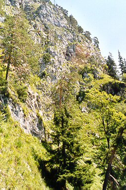 Wanderung 117 Müllnerhorn: Entlang dem Felsaufbau des Rabensteinhorn