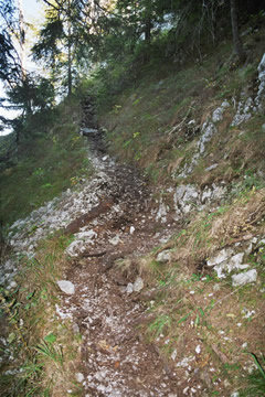 Wanderung 118 Rauschberg Zielname: Steig nahe Aussichtspunkt 
