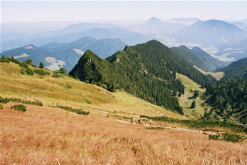 Wanderung 124 Hochfelln: Aufstieg am Südhang (Rückblick)