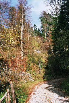 Wanderung 125 Taubenseehütte: Herbststimmung