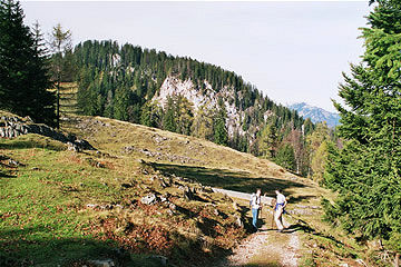Wanderung 125 Taubenseehütte: Kurz vor dem Chiemseeblick