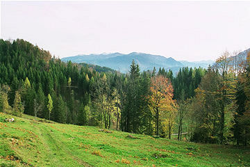 Wanderung 125 Taubenseehütte: Herbstliche Landschaft