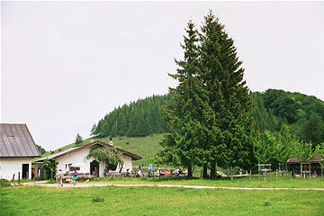 Wanderung 126 Frasdorfer Hütte: Hofalm