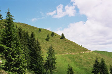 Wanderung 127 Wandberg: Gipfelkreuz in Sicht