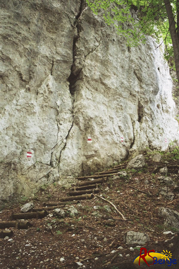 Wanderung 128 Vorderkaiserfeldenhütte - Steig am Fels