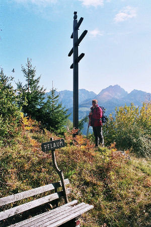 Wanderung 129 Vernuer: Erstes "Gipfelkreuz" am Pflaum