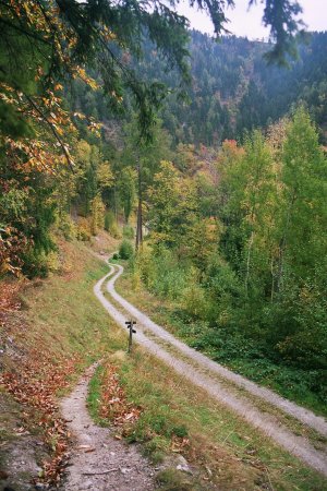 Wanderung 130 Steinegg-Hochmut: Rückblick Abzweigung vor Mutlechner