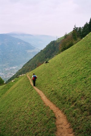 Wanderung 130 Steinegg-Hochmut: Vor Talbauer und Abzweigung Mutspitze