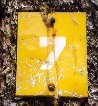 Wanderung 116 Eggstätt-Hemhof-Seenplatte: Wegkennzeichnung am Baum