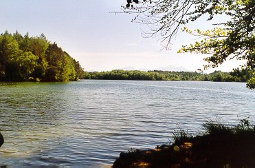 Wanderung 116 Eggstätt-Hemhof-Seenplatte: Noch am Langbürgner See