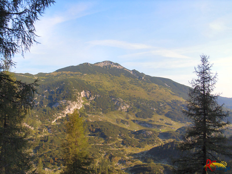 Wanderung Reiter Alpe Reiter Alm im Berchtesgadener Land: Blick zum Weitschartenkopf