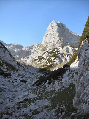 Wanderung Reiter Alpe Reiter Alm in den Berchtesgadener Alpen: Durch die Rossgasse