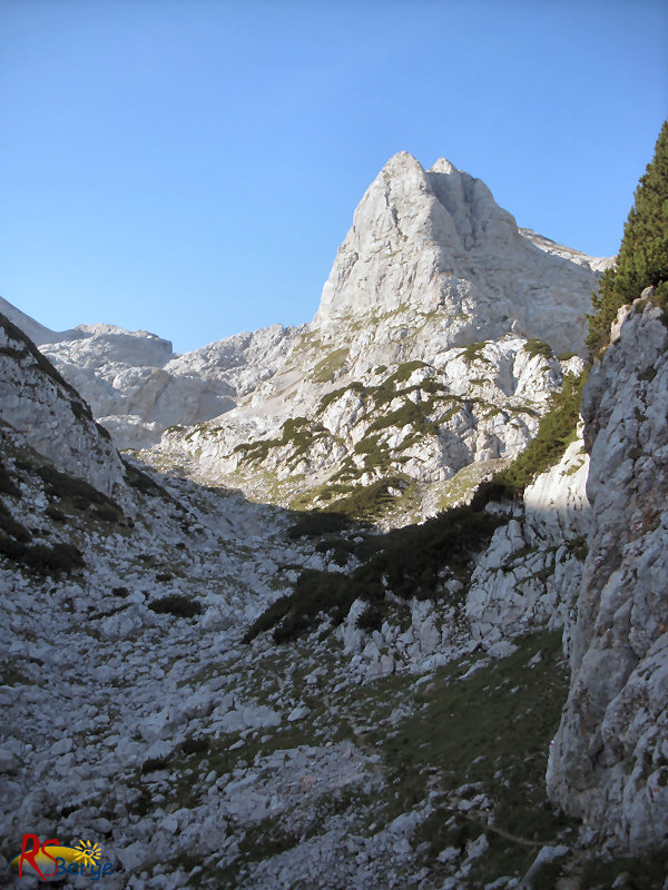 Wanderung Reiter Alpe Reiter Alm im Berchtesgadener Land: Durch die Rossgasse