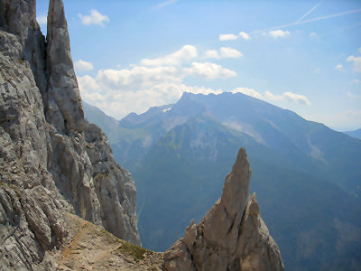 Wanderung Reiter Alpe Reiter Alm in den Berchtesgadener Alpen: Abstieg Hochgscheidsattel