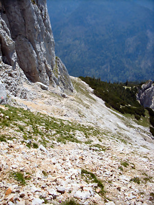 Wanderung Reiter Alpe Reiter Alm in den Berchtesgadener Alpen: Abstieg Hochgscheidsattel