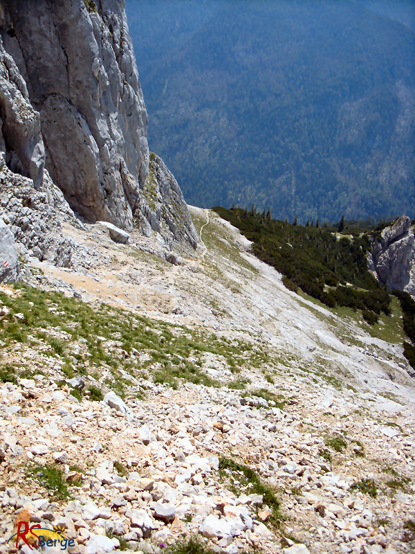 Wanderung Reiter Alpe Reiter Alm im Berchtesgadener Land: Abstieg Hochgscheidsattel
