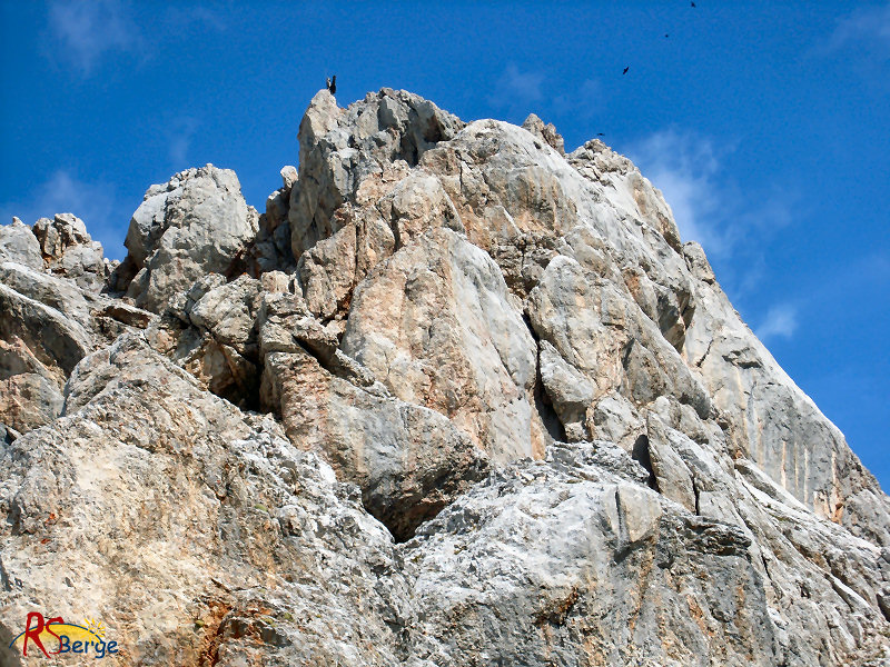 Wanderung Steinernes Meer: Schönfeldspitze Gipfelaufbau